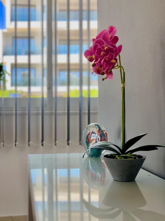 Diana Townhouse 1 Lägenhet Paphos Exteriör bild
